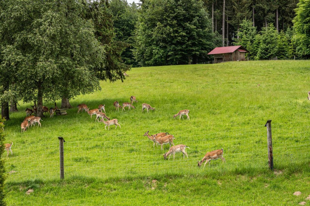 דירות Waldburg Urlaub Auf Dem Hirschhof Stehle מראה חיצוני תמונה